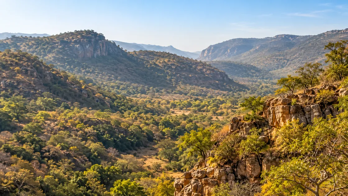 Alwar Sariska scenery for group road-trip planning