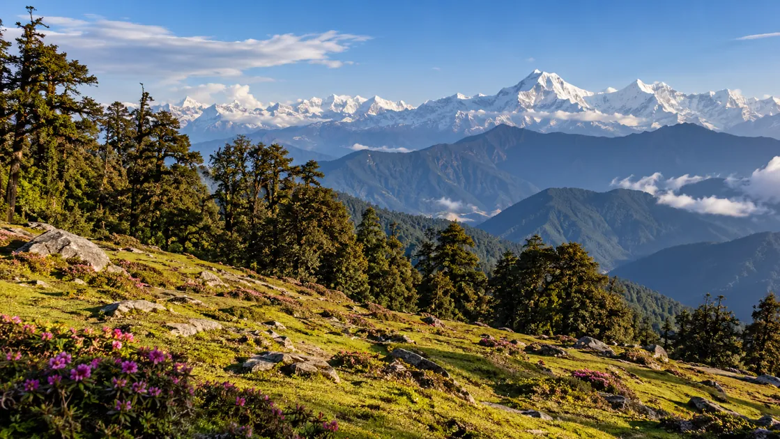 Chopta destination scenery