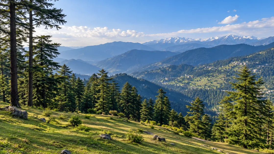Patnitop scenery for group road-trip planning