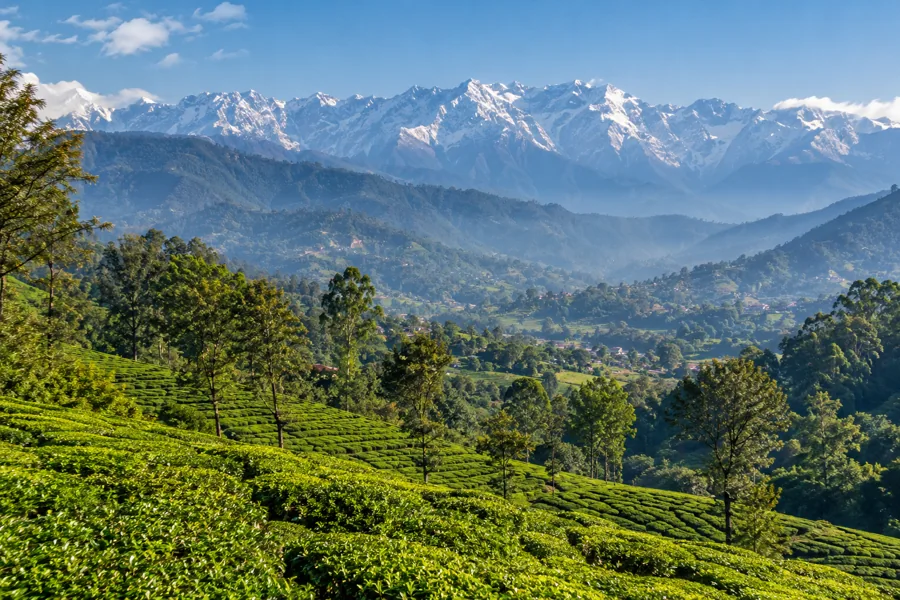 Dharamshala destination scenery
