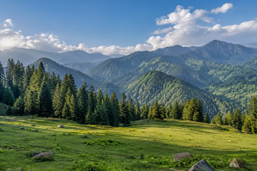 Patnitop destination scenery