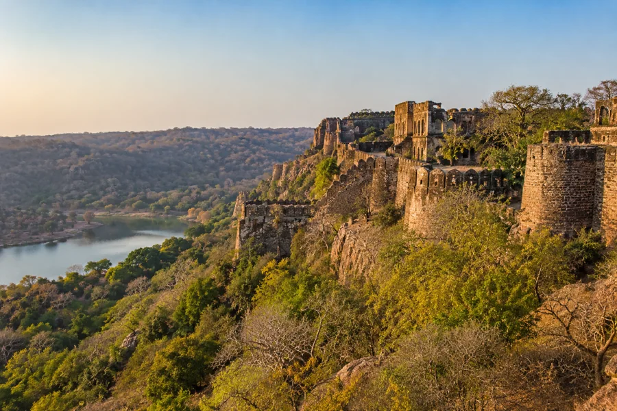 Ranthambore scenery for group road-trip planning