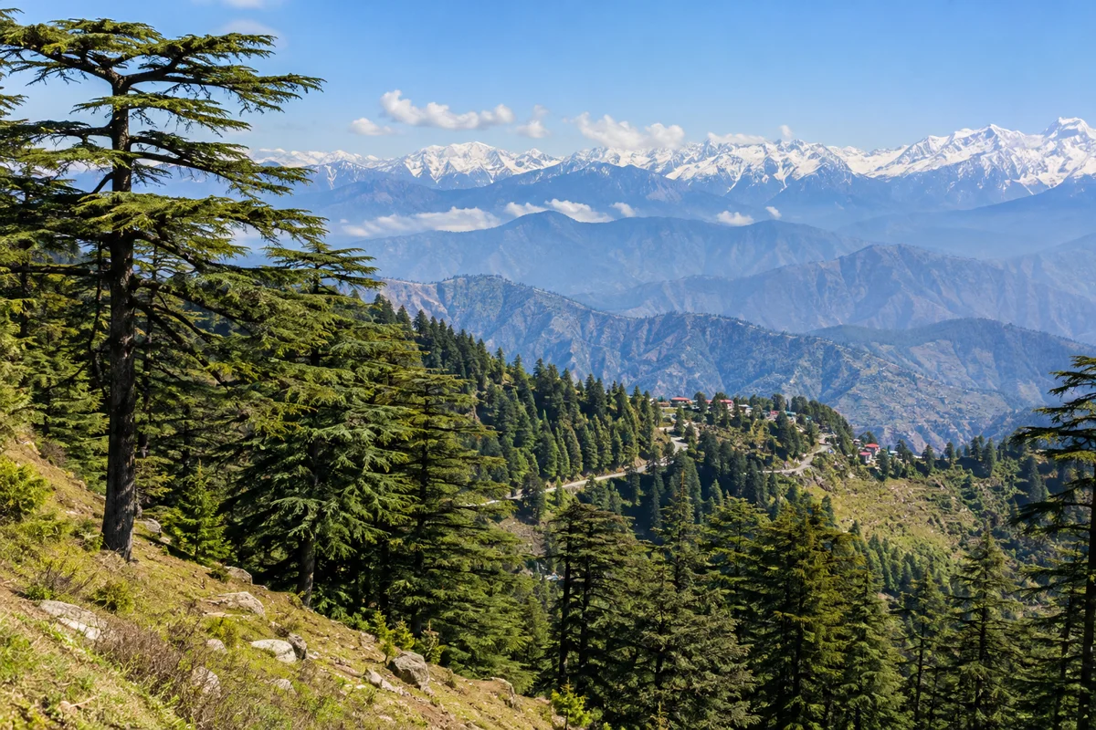 Shimla & Kufri destination scenery