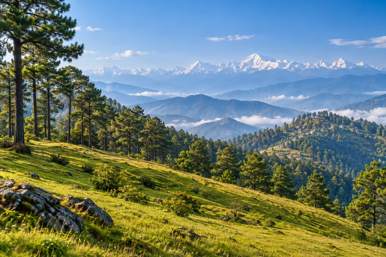 Ranikhet destination travel illustration