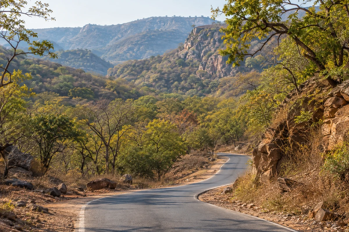 Sariska & Alwar destination scenery